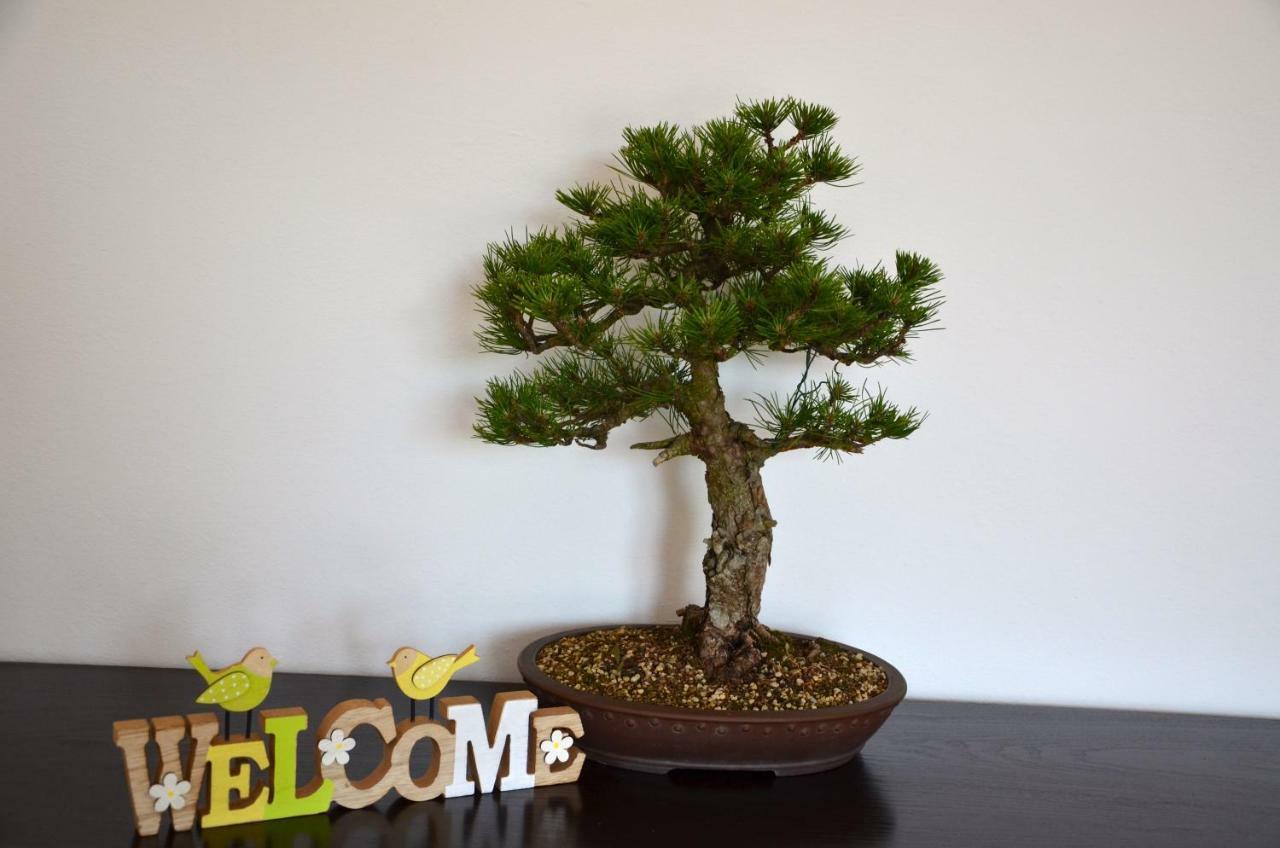 Apartament Bonsai House Portorož Zewnętrze zdjęcie